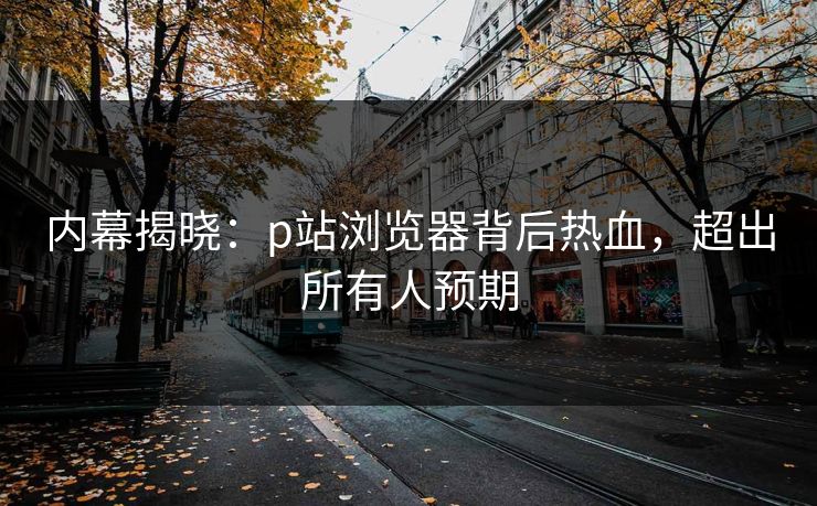 P站