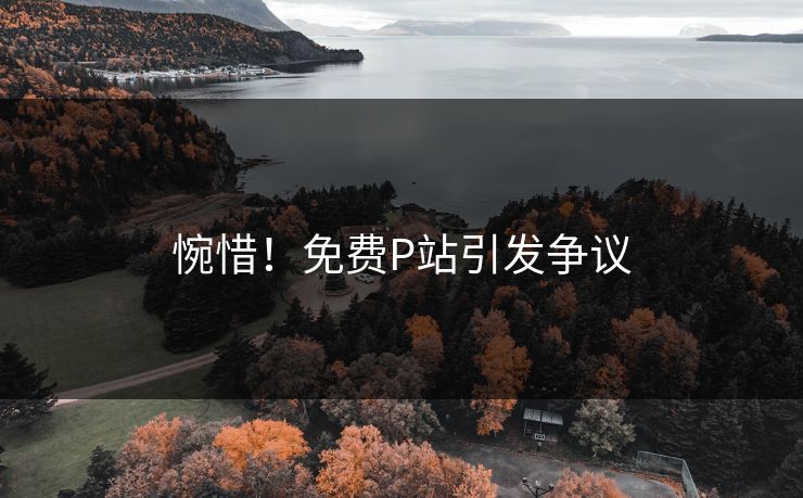 惋惜！免费P站引发争议