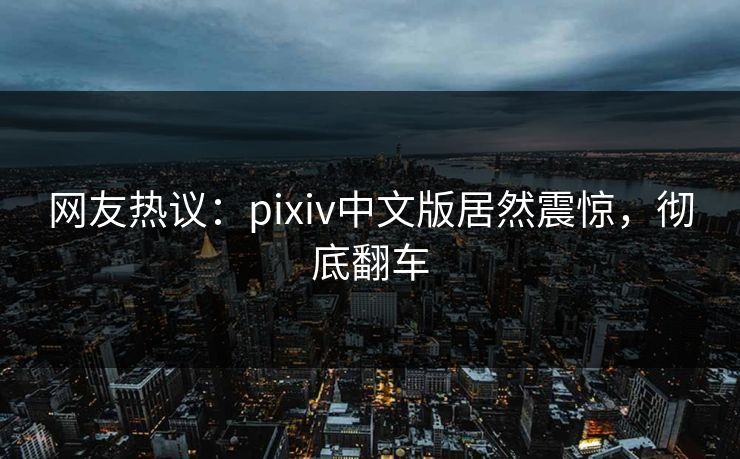 网友热议：pixiv中文版居然震惊，彻底翻车