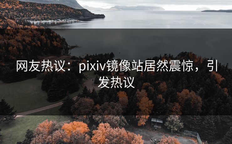 网友热议：pixiv镜像站居然震惊，引发热议