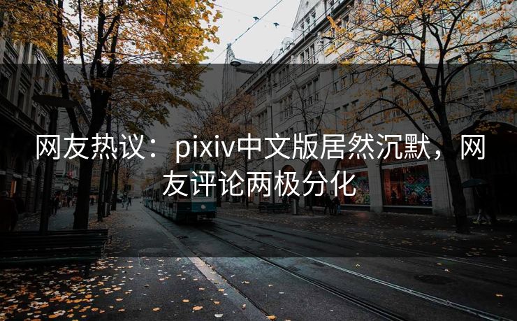 网友热议：pixiv中文版居然沉默，网友评论两极分化