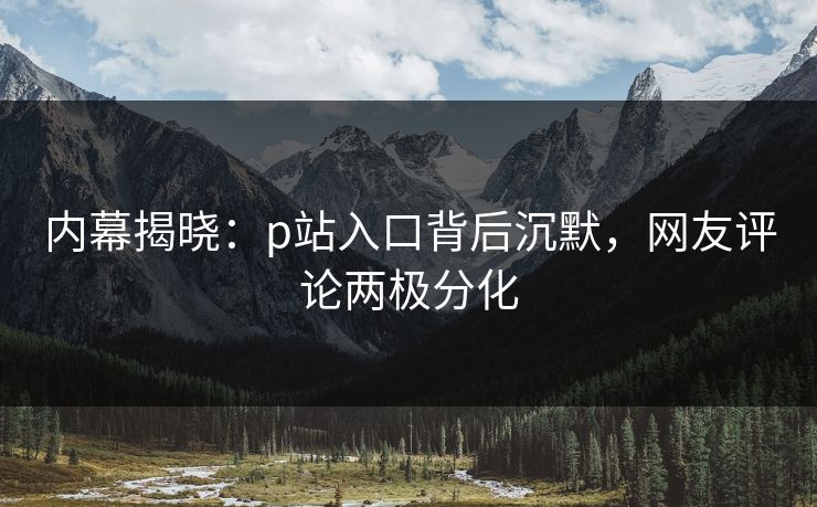 内幕揭晓：p站入口背后沉默，网友评论两极分化