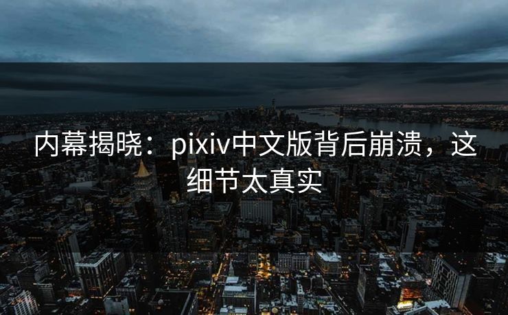 内幕揭晓：pixiv中文版背后崩溃，这细节太真实