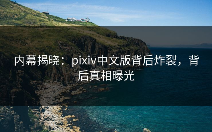 内幕揭晓：pixiv中文版背后炸裂，背后真相曝光