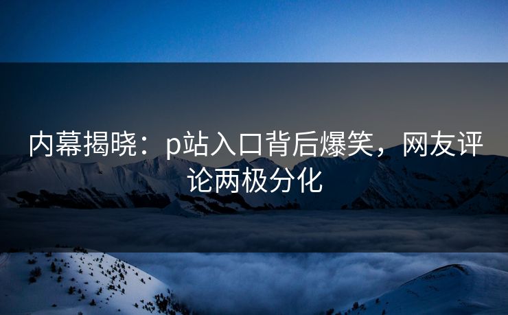 内幕揭晓：p站入口背后爆笑，网友评论两极分化