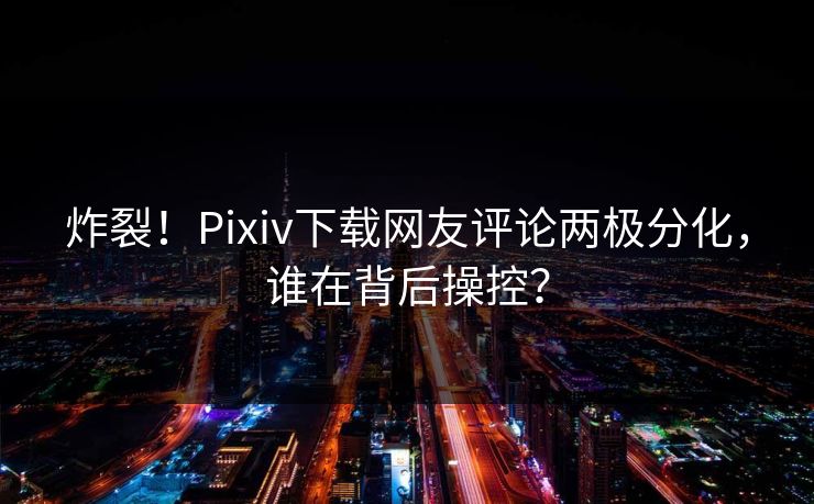 炸裂！Pixiv下载网友评论两极分化，谁在背后操控？