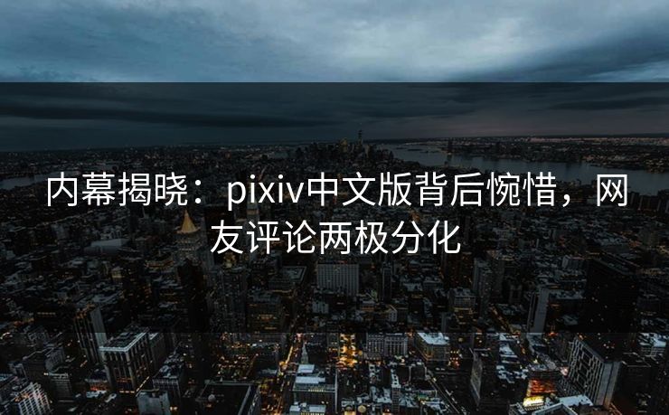 内幕揭晓：pixiv中文版背后惋惜，网友评论两极分化