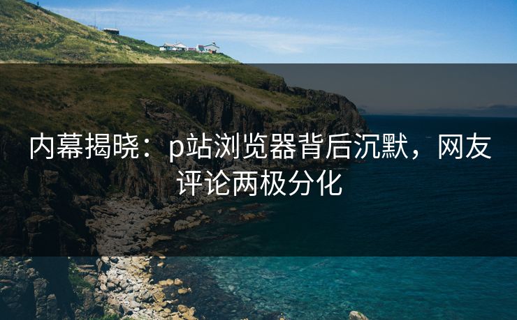 内幕揭晓：p站浏览器背后沉默，网友评论两极分化