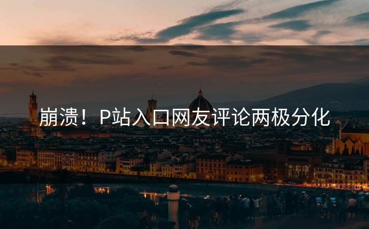 崩溃！P站入口网友评论两极分化