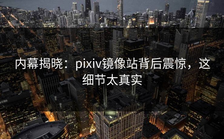 内幕揭晓：pixiv镜像站背后震惊，这细节太真实