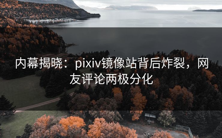 内幕揭晓：pixiv镜像站背后炸裂，网友评论两极分化