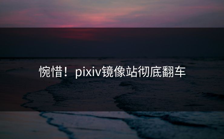 惋惜！pixiv镜像站彻底翻车