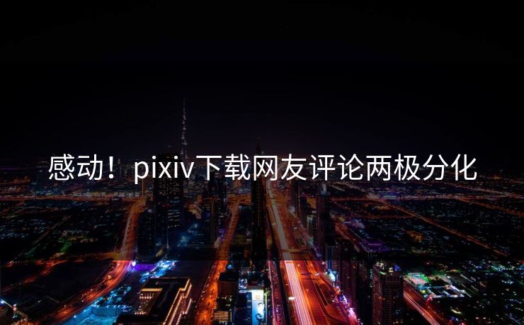 感动！pixiv下载网友评论两极分化