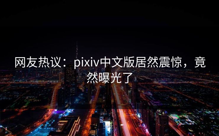 网友热议：pixiv中文版居然震惊，竟然曝光了