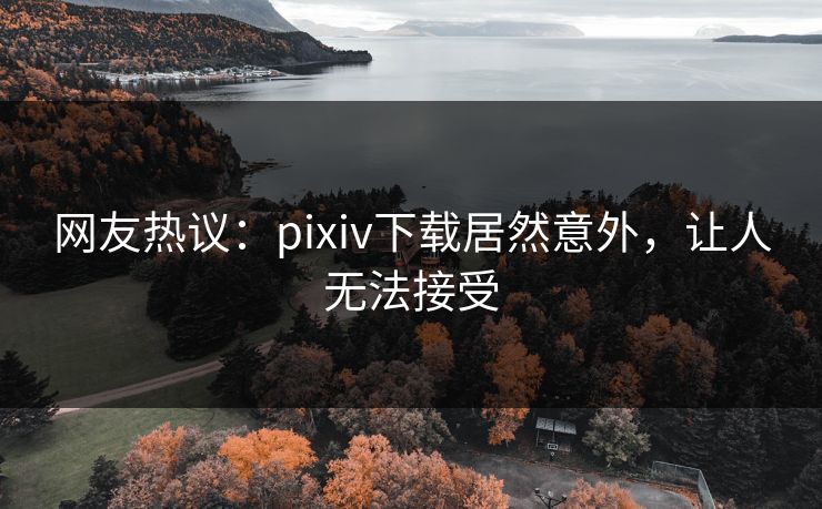 网友热议：pixiv下载居然意外，让人无法接受