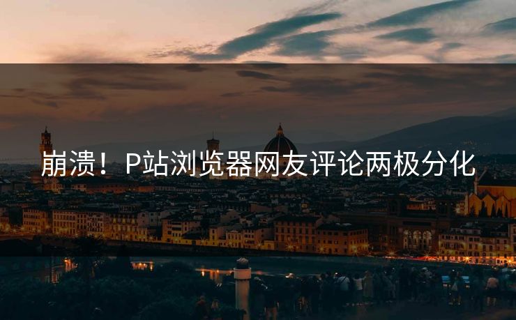 崩溃！P站浏览器网友评论两极分化