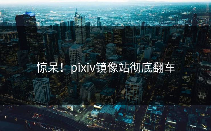 惊呆！pixiv镜像站彻底翻车