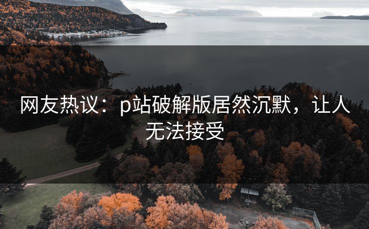 网友热议：p站破解版居然沉默，让人无法接受