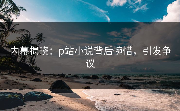 内幕揭晓：p站小说背后惋惜，引发争议