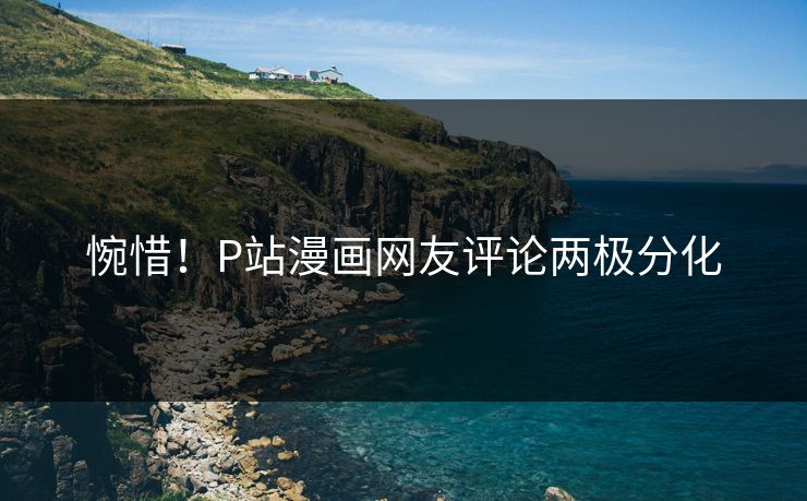 惋惜！P站漫画网友评论两极分化