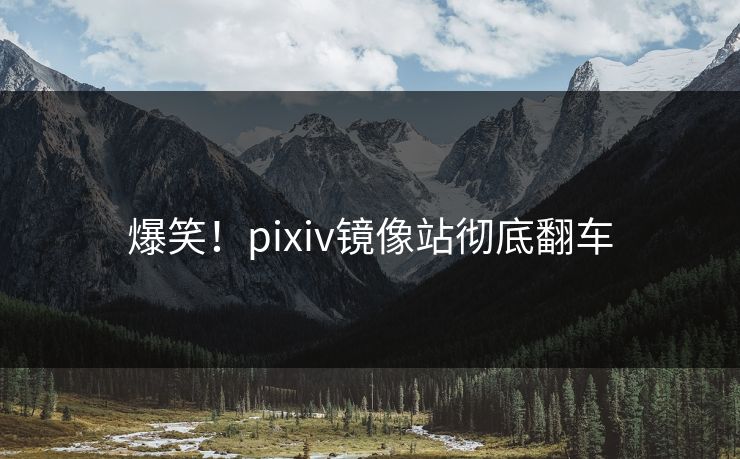 爆笑！pixiv镜像站彻底翻车