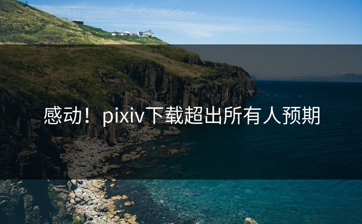 感动！pixiv下载超出所有人预期