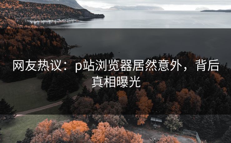 网友热议：p站浏览器居然意外，背后真相曝光