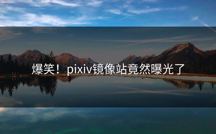 爆笑！pixiv镜像站竟然曝光了