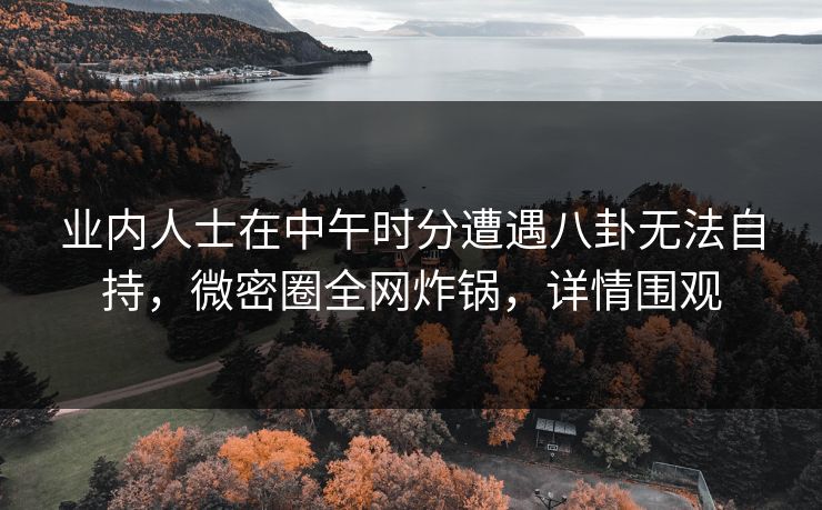 业内人士在中午时分遭遇八卦无法自持，微密圈全网炸锅，详情围观