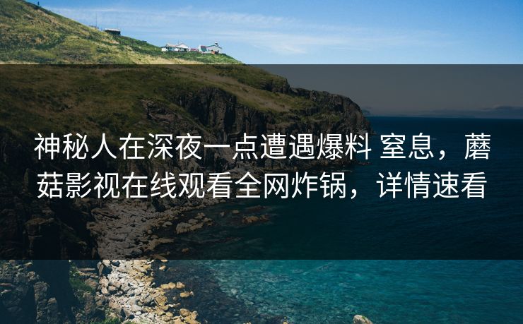 神秘人在深夜一点遭遇爆料 窒息，蘑菇影视在线观看全网炸锅，详情速看