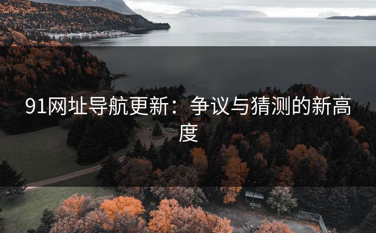 91网址导航更新：争议与猜测的新高度